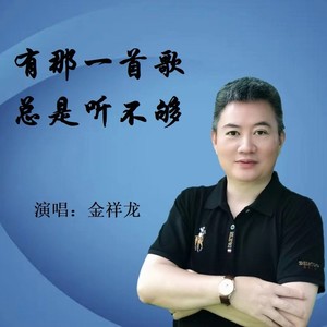 有那一首歌总是听不够