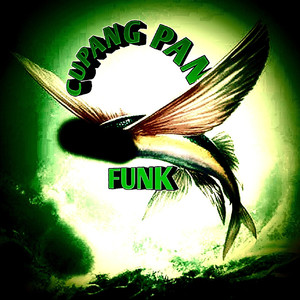 CUPANG FUNK