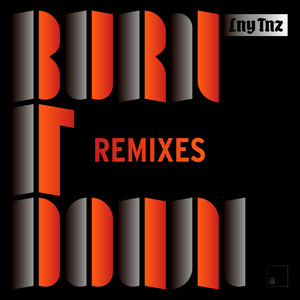 Burn It Down (Stanley Clementina & Zurich Remix)
