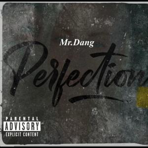 PERFECTION (feat. Influ) (Explicit)