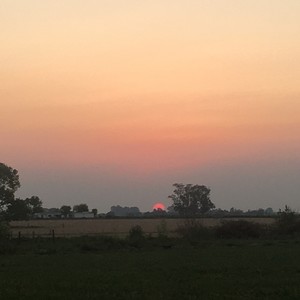 Ganas(feat. Meri Lorenzo) (Explicit)