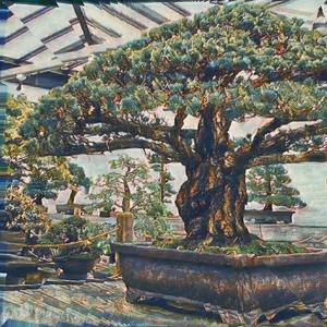 Dusk(feat. Wakai) (Explicit)