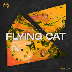 Flying Cat