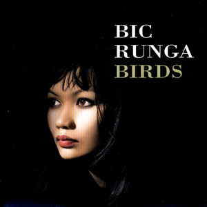Bic Runga - If I Had You