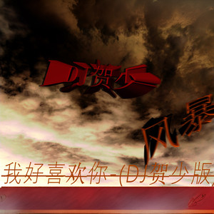 我好喜欢你 (DJ贺少版)
