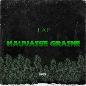 Mauvaise graine (Explicit)