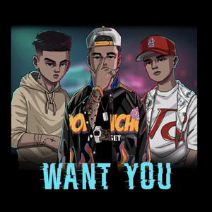 Want You (Explicit)
