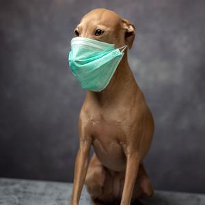 18 december 2021_ Inleidend statement premier Mark Kutte en minister De Jochie (Explicit)