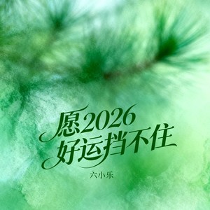 愿2026好运挡不住-六小乐