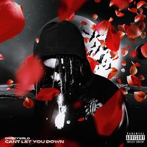 CAN'T LET YOU DOWN