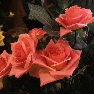 Lee. (Prod by WayMen)