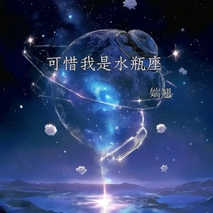 可惜我是水瓶座 (盲目到不计后果)