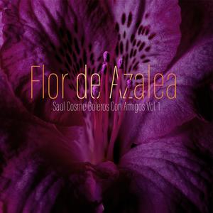 Flor De Azalea (Boleros Con Amigos Vol. 1) (feat. Haeun Joo, Daniel Prim & Matt Dwonszyk)