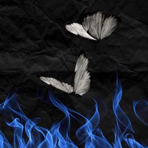 So Fly (feat. RodXO!) (Explicit)