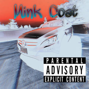 Mink Coat (feat. Vro_6x) [Explicit]