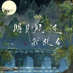 明月照过我故乡伴奏 (伴奏)