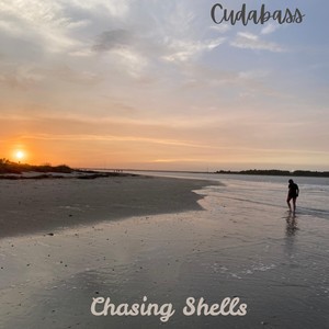 Chasing Shells
