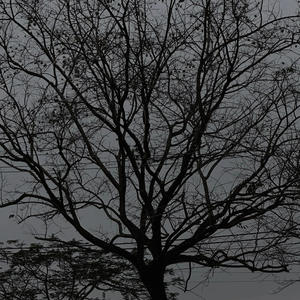 prk oi - CORTIS - GO! (Remix)