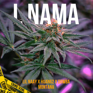 L Nama