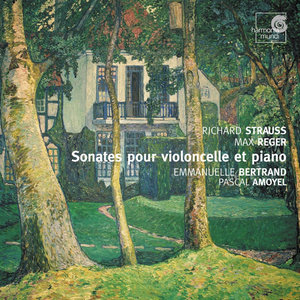 Little Romanze in D major op.79 no.2. Andante - un poco con moto