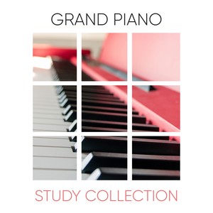 Grand Piano: Study Collection