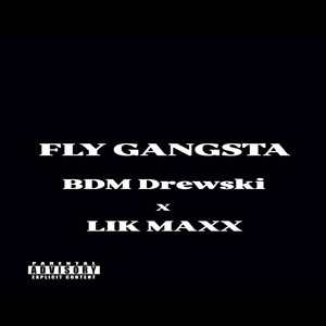 Fly Gangsta (Explicit)