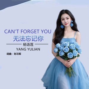 无法忘记你 (Dj尼保版)