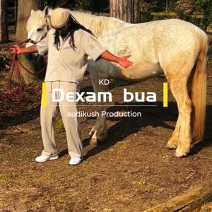KD Dexam Bua