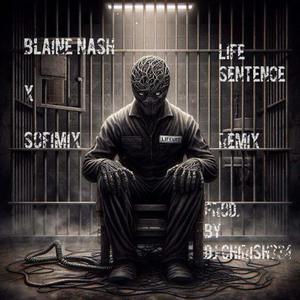 Life Sentence (feat. Sofimix) [DJ Chirish734 Remix] [Explicit]