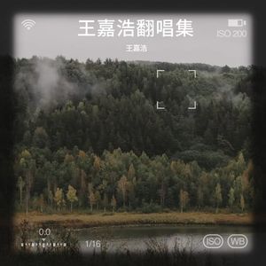 还你茉莉-王嘉浩