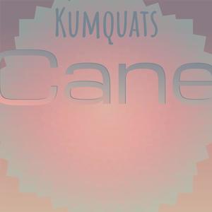 Kumquats Cane