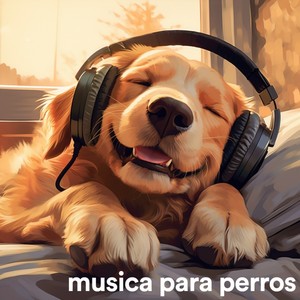 Musica Para Perros