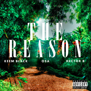 The Reason (Explicit)