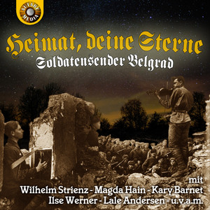 Möwe, du fliegst in die Heimat