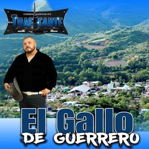 El Gallo De Guerrero