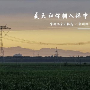 夏天和你拥入怀中