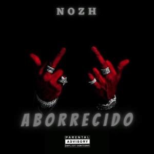 Aborrecido (feat. Nozh) (Explicit)