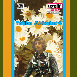 Bir Yiğit Gurbete Gitse