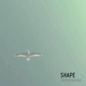 Shape