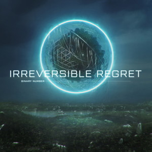 Irreversible Regret