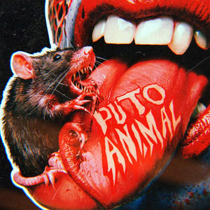 PUTO ANIMAL (Explicit)