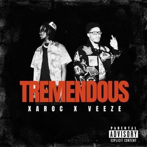 Tremendous (feat. Veeze) [Explicit]