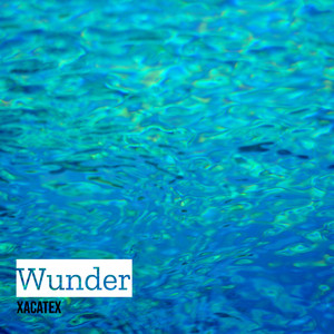 Wunder (Explicit)