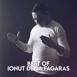 Best of Ionut de la Fagaras