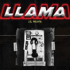 Llama (Explicit)