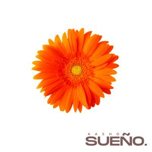 Sueño (Afro Remix)