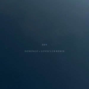 Shy (Domingo + LoveClub Remix)