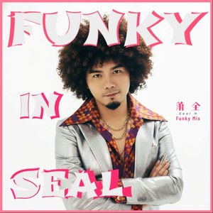 不仅仅是喜欢 (Funky Mix)