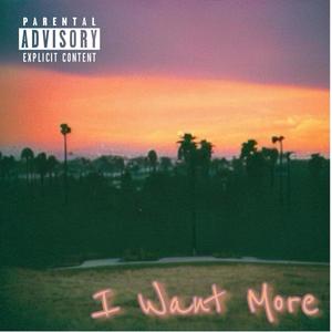 I want more . (Explicit)