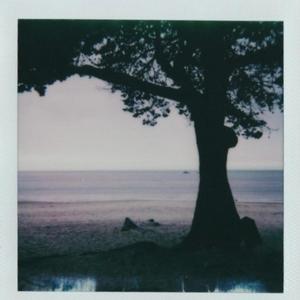 antisocial(feat. morgan bates & escape parkside) (Explicit)